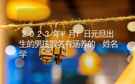 2023年1月1日元旦出生的男孩取名有涵养的_2023年1月1日属什么,第2张